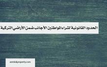الحدود القانونية لشراء المواطنين الأجانب ضمن الأراضي التركية