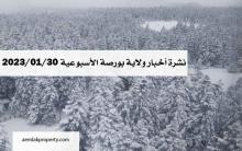 ولاية بورصة