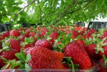 ولاية بورصة