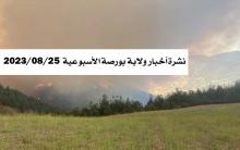 بورصة